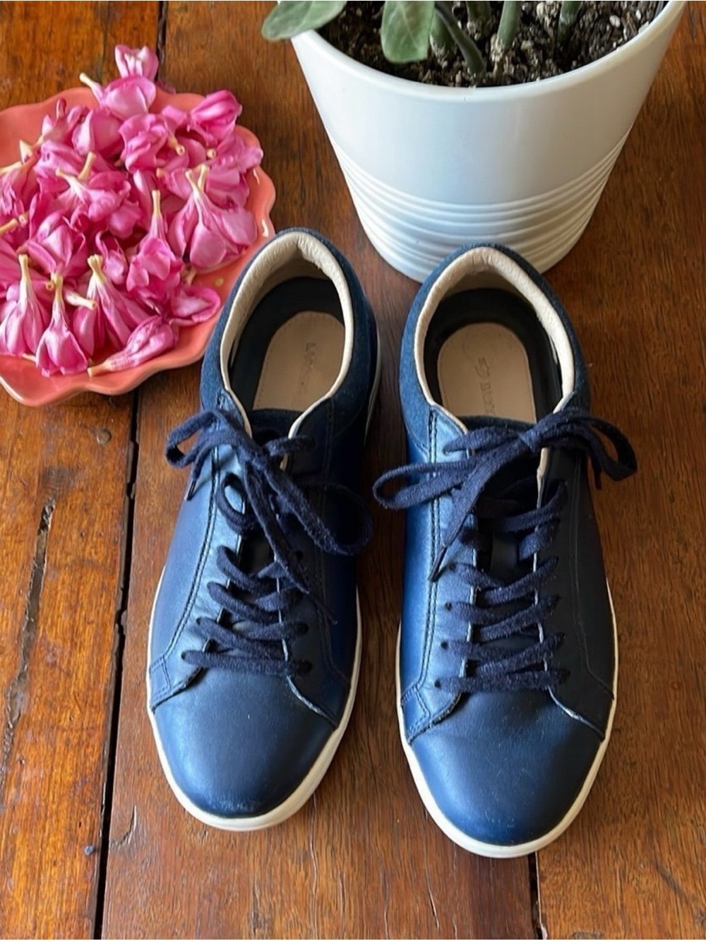 Lacoste Navy Blue Leather Low-Top Athletic Sneakers